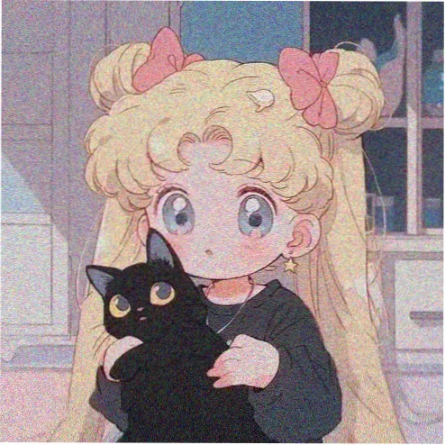 99视频 用户头像 海雾里的猫